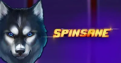 Spinsane